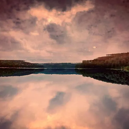 Sun Mazury#jesien Z Bania#grzybobranie * Liski